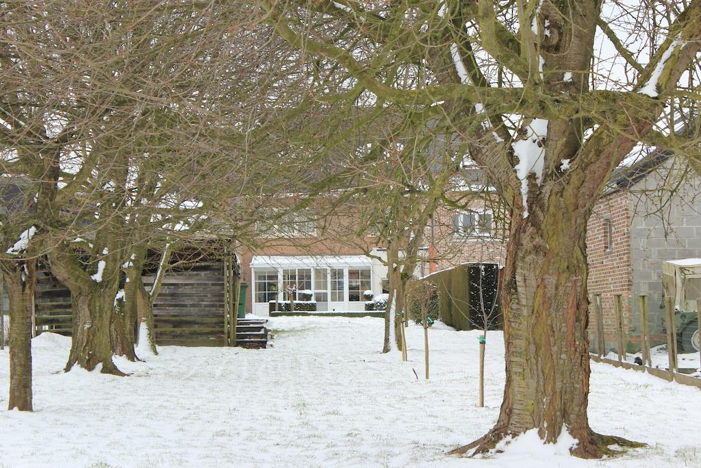 B&B Den Boomgaard Moorsel Exteriér fotografie